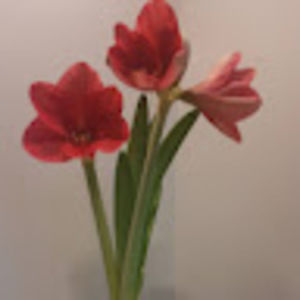 Meet your Posher, 672joan